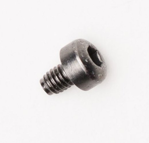 BUCKLE SCREWS [Silver], No Size